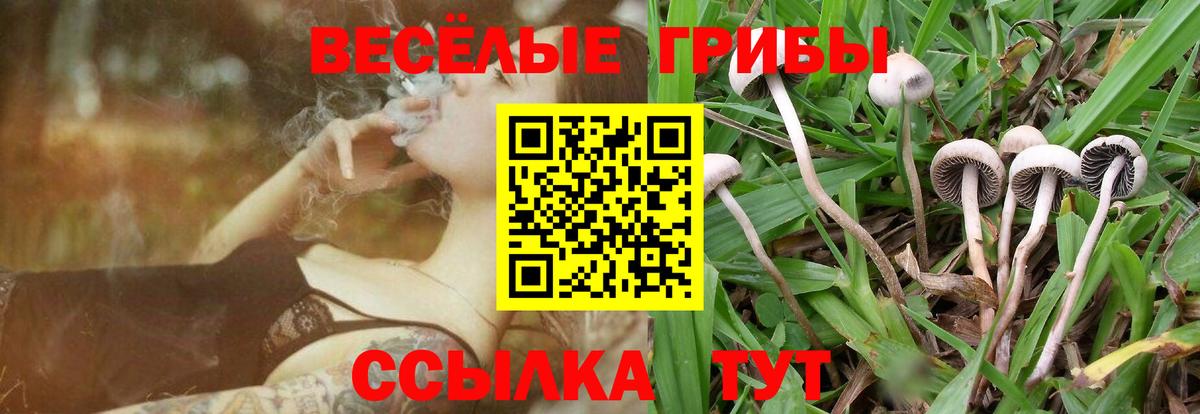 Галлюциногенные грибы GOLDEN TEACHER  Псилоцибиновые грибы GOLDEN TEACHER  Лянтор  Вход с VPN 